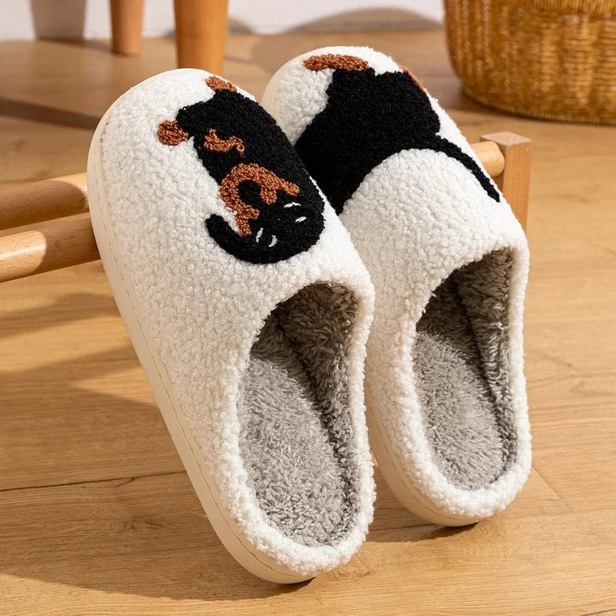Chaussons Teckel