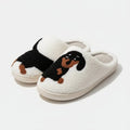 Chaussons Teckel