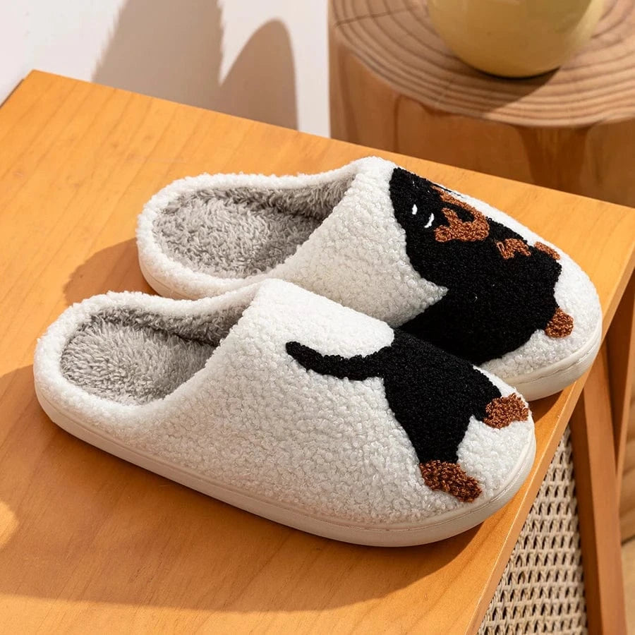 Chaussons Teckel Blanc / 36-37