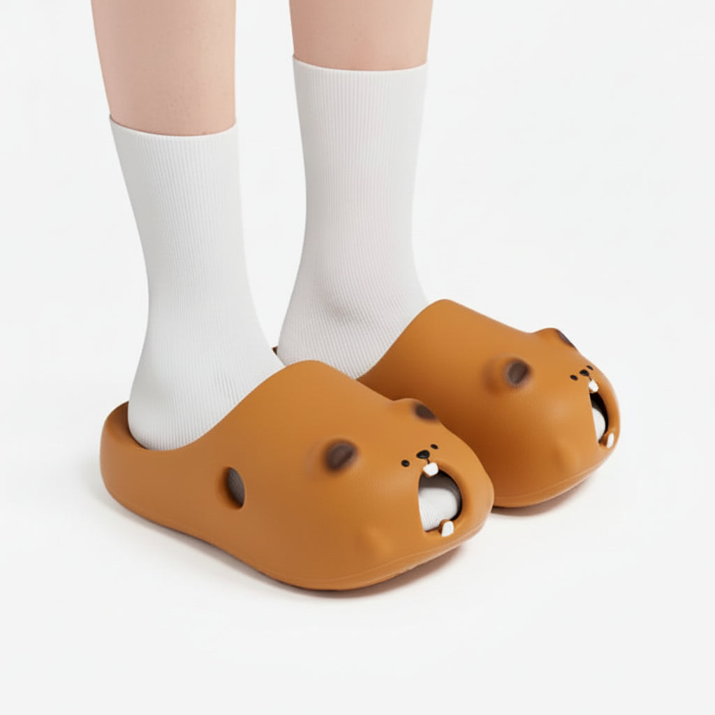 Claquettes Marmotte Plage Bochausson vue de dessus